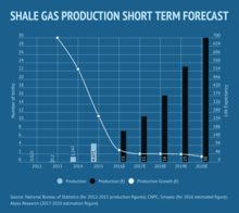 Shale Gas Production