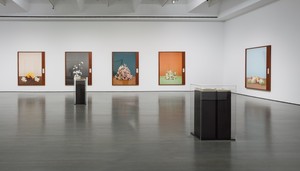 Installation view, Taryn Simon: Paperwork and the Will of Capital, MOMENTA | Biennale de l’image at Musée d’art contemporain de Montréal, Quebec, September 8–November 19, 2017. Artwork © Taryn Simon. Photo: Richard-Max Tremblay, courtesy MAC Montréal