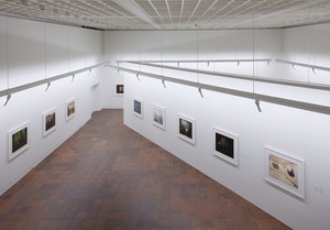 Installation view, Taryn Simon: An American Index of the Hidden and Unfamiliar, Louisiana Museum of Modern Art, Denmark, October 29, 2016–January 15, 2017. Artwork © Taryn Simon. Photo: Poul Buchard/Broendum &amp; Co, courtesy Louisiana Museum of Modern Art