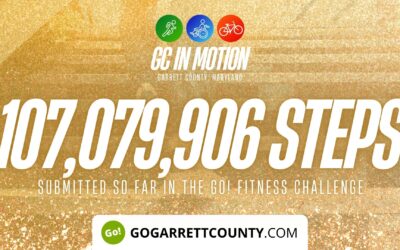 Featured Today on Go! Garrett County: 107 MILLION+ STEPS/ACTIVITY RECORDS! – Step/Activity Challenge Weekly Leaderboard – Week 94