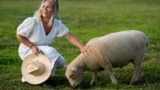 Jamie Campion pets her one of her Southdown Babydoll sheep as it grazes in the backyard Wednesday morning, July 3, 2024. (AP Photo/George Walker IV)