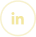 LinkdIn Icon