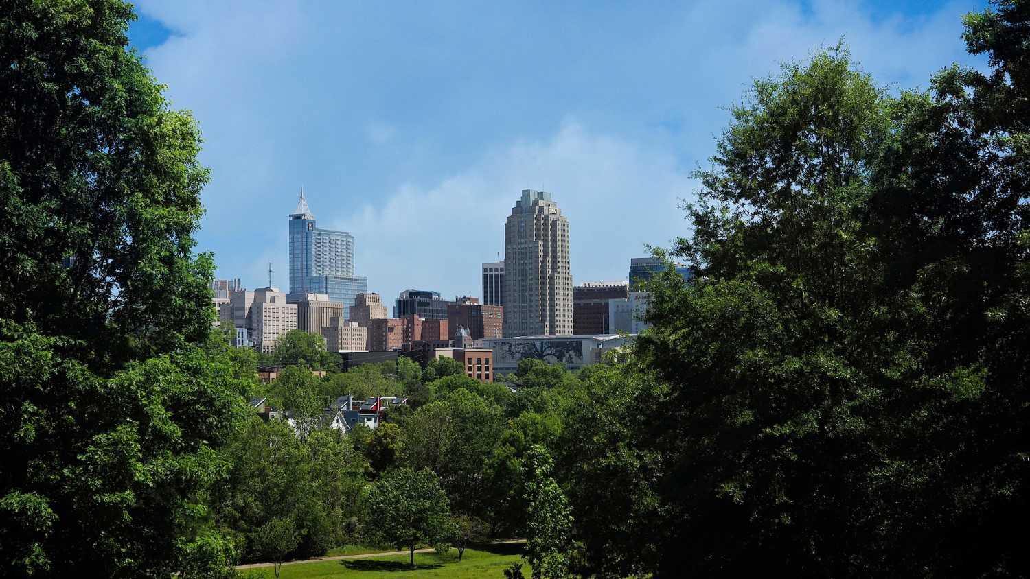 A view of the Raleigh skyline