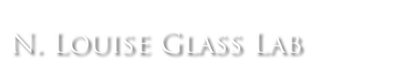 The Glass Lab