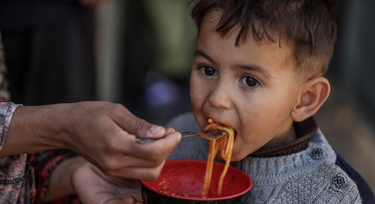 Le PAM travaille avec six partenaires et un réseau de 74 cuisines communautaires pour fournir quotidiennement plus de 200 000 repas chauds aux habitants du sud et du centre de Gaza.