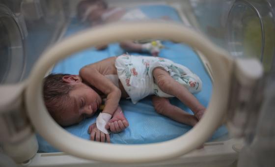 A 5 de Março de 2024, a UNICEF e parceiros entregaram 23 incubadoras a hospitais em Rafah, sul de Gaza