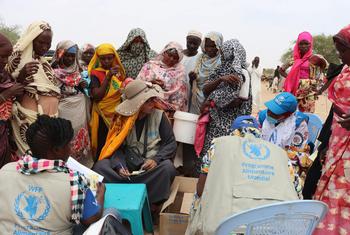 Food is distributed to Sudanese refugees in Koufron, Chad.