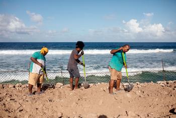 Workers construct barriers to combat sea erosion along the coastline of Tuvalu.