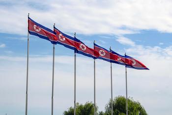 Flags of the Democratic People's Republic of Korea fly in Pyongyang.