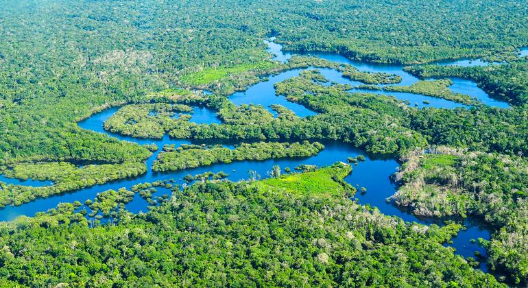 Instituto Dom Phillips homenageia o jornalista britânico que foi assassinado no Vale do Javari, na Amazônia brasileira