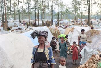 L'un des nombreux sites de déplacés internes au Nord-Kivu où 1,2 million de personnes ont été contraintes de fuir leur foyer depuis mars 2022.