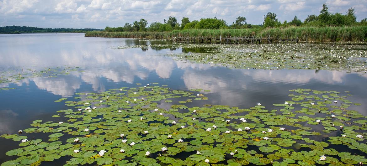 The Kempen-Broek transboundary biosphere reserve.