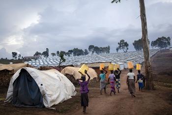 Des femmes portent de l'eau vers un camp de déplacés en RDC.