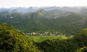 A restauração de habitats naturais pode ajudar a enfrentar as crises climáticas e de biodiversidade.