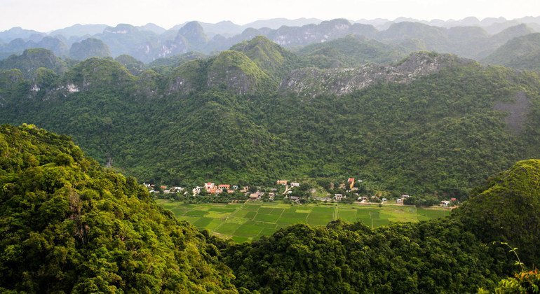 A restauração de habitats naturais pode ajudar a enfrentar as crises climáticas e de biodiversidade.