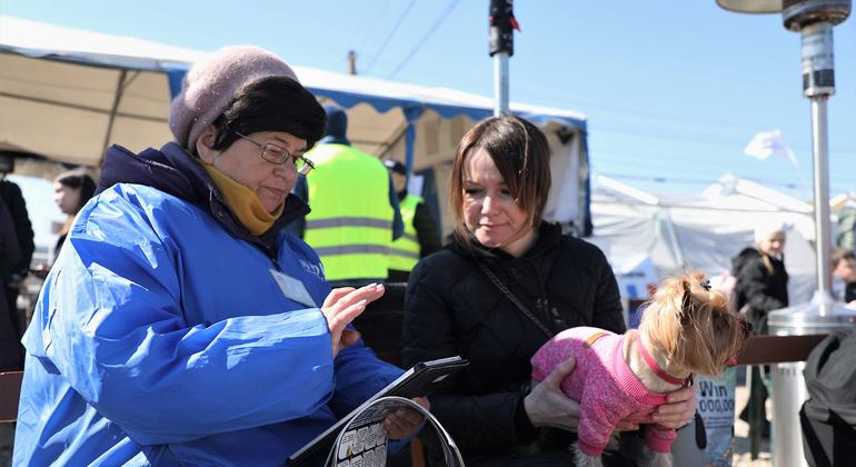 IOM enumerators conduct surveys to better understand the refugees’ journey.