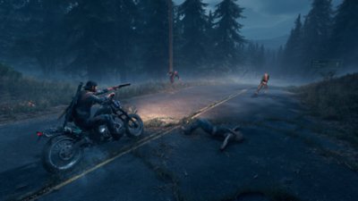 days gone – zrzut ekranu pc