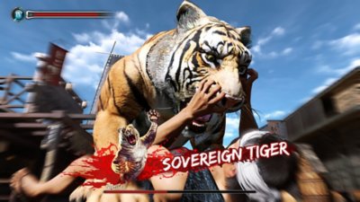 Like a Dragon: Ishin!, snimka zaslona prikazuje lika kojeg je napao tigar