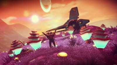 No Man's Sky screenshot showing a field of alien fauna underneath a sunrise