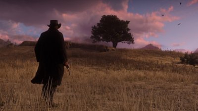 Red Dead Redemption 2 - gameplayscreenshot