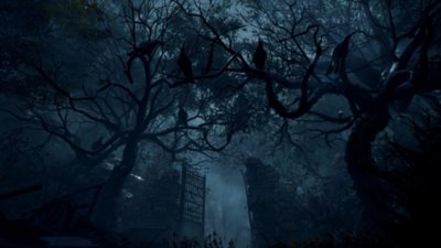 Resident Evil 4 – snímka obrazovky s množstvom vrán sediacich na holých stromoch v blízkosti železnej brány