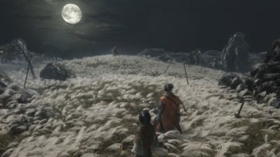 Sekiro: Shadows Die Twice - Captura de pantalla