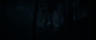 Until Dawn - Capture d'écran Homme dans forêt sombre