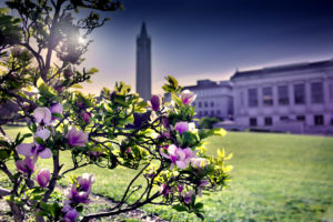 campus and the campanile