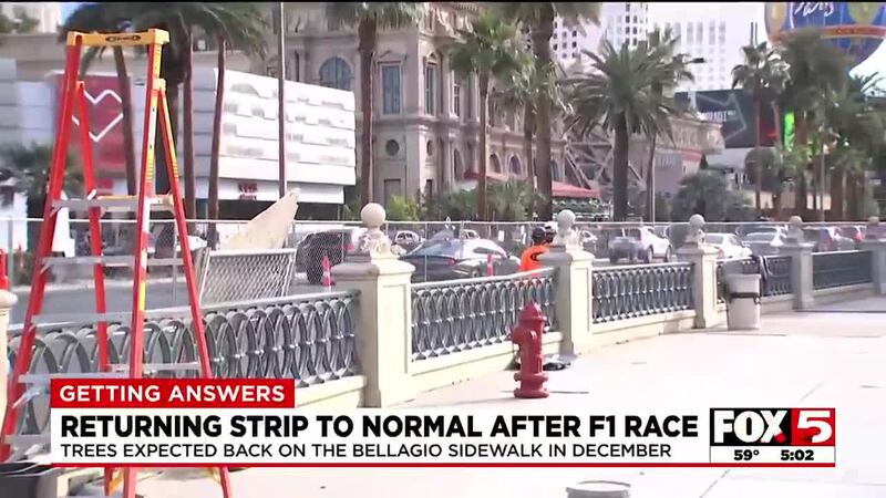 Trees removed outside Bellagio for F1 Las Vegas Grand Prix will return in December