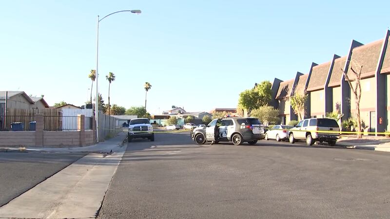 Police said an altercation between a couple ended in a deadly shooting near Flamingo and Jones...