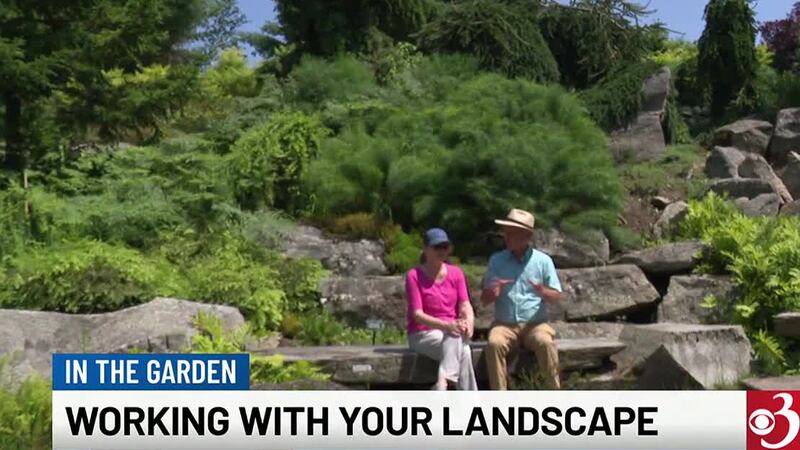 Garden expert Charlie Nardozzi and our Sharon Meyer show you how you can use nature to make...