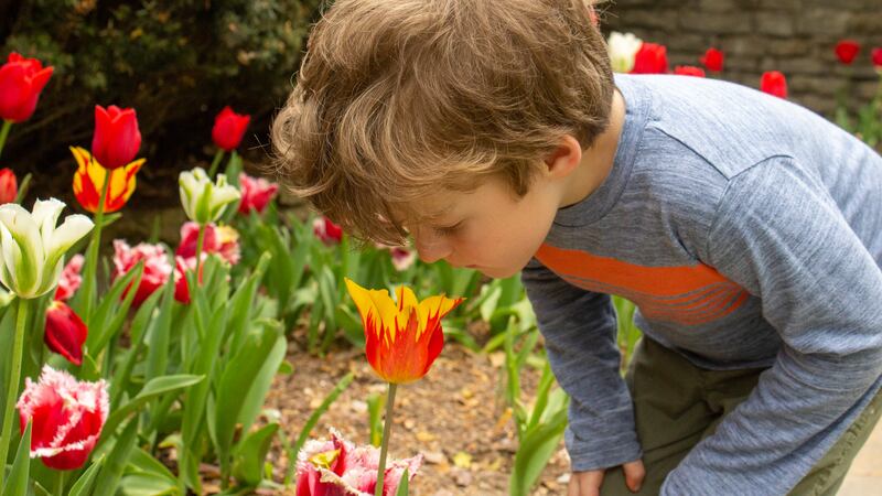 Gardens are for everyone but in this edition of “In the Garden,” garden expert Charlie...