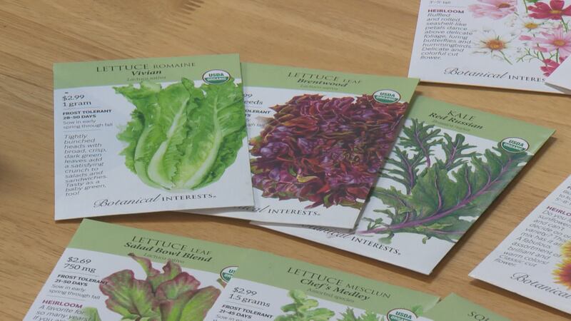 Tips for buying seeds.-File photo
