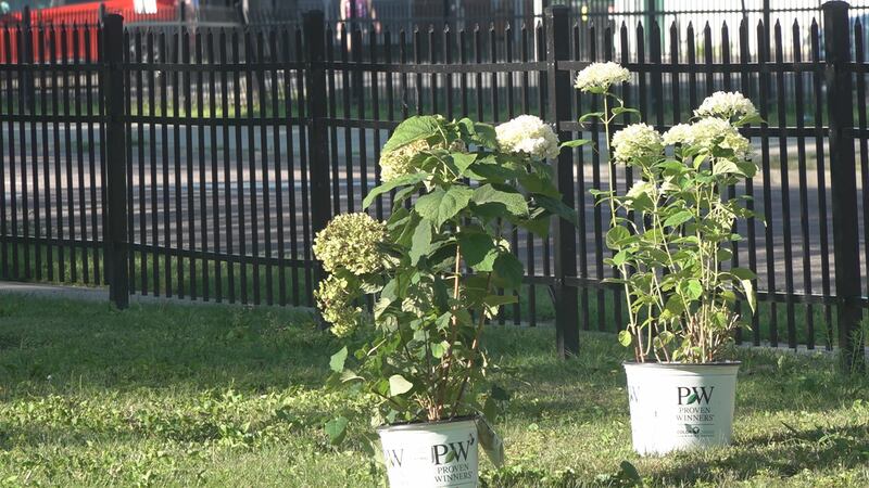 April showers bring May flowers, and in this “In the Garden,” garden expert Charlie Nardozzi...