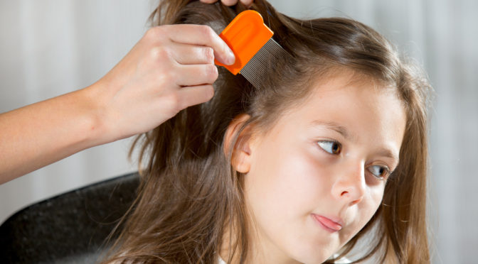 Mother removing lice from young girl's hair