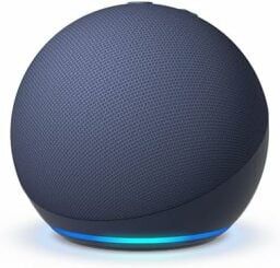 Echo dot speaker