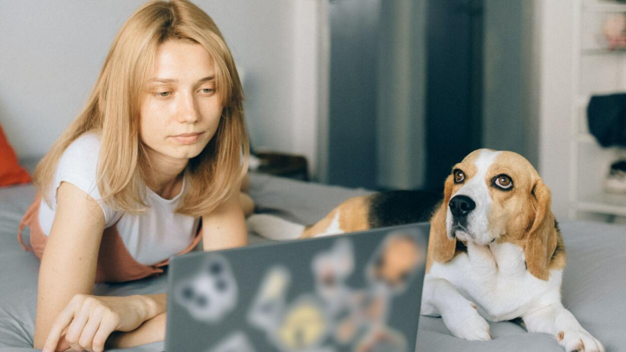 woman browsing on laptop next to dog