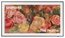 the Samsung 55-inch LS03D The Frame QLED 4K TV with a floral background