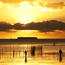 A tiny island nation in the South Pacific declares Zika outbreak