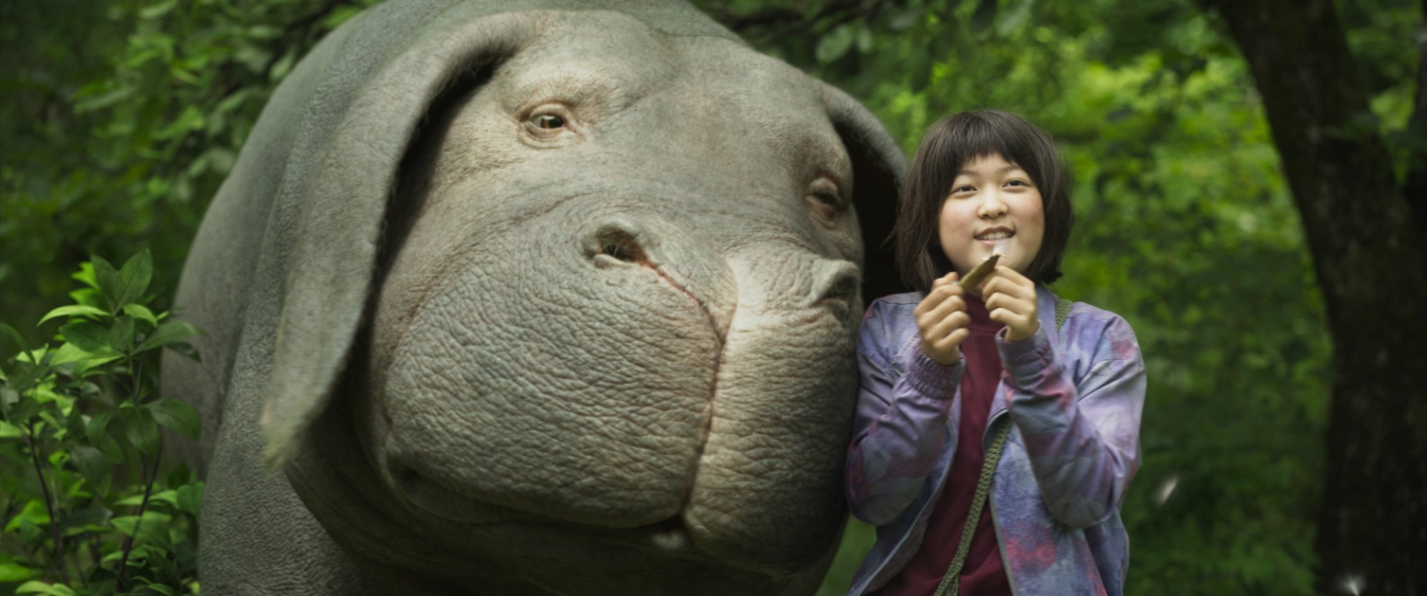 A young Korean girl nuzzling a gigantic pig; still from "Okja."