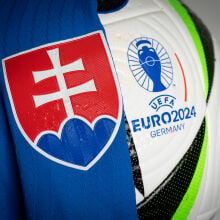 A detailed view of the badge of Slovakia