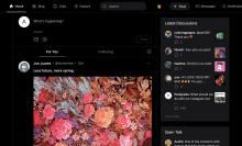 A screenshot of Cara, the new social media app for artists