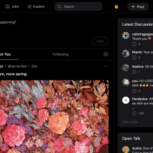 A screenshot of Cara, the new social media app for artists