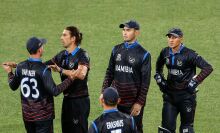 Namibia players on the pitch during T20 2022