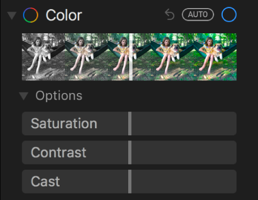 The Color area of the Adjust pane showing sliders for Saturation, Contrast, and Cast.