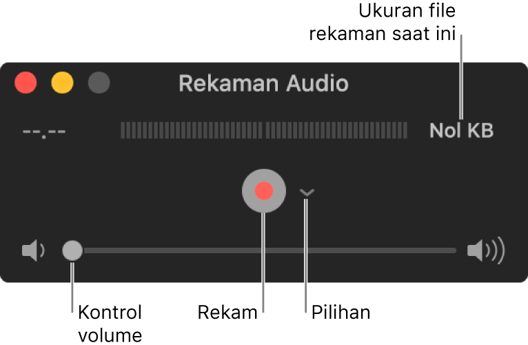 Jendela Rekaman Audio dengan tombol Rekam dan menu pop-up Pilihan di pusat jendela, serta kontrol volume di bagian bawah.