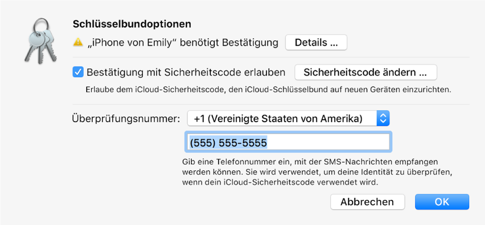 Das Dialogfenster mit iCloud-Schlüsselbund-Optionen mit dem Namen des Geräts, das eine Bestätigung anfordert, mit der Taste „Details“ daneben.