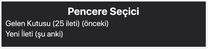 Pencere Seçici, o anda açık olan pencerelerin listesini gösteren bir paneldir.