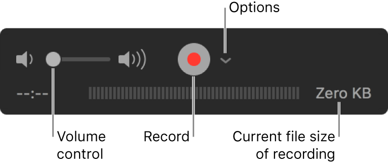 The recording controls, including the volume control, the Record button and the Options pop-up menu.