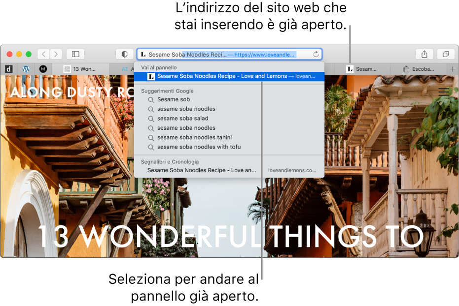 Una finestra di Safari con la prima parte dell'indirizzo di un sito web inserita nel campo di ricerca smart. Lo stesso sito compare nell'elenco dei risultati sotto “Vai al pannello”, perché è già aperto in un altro pannello.